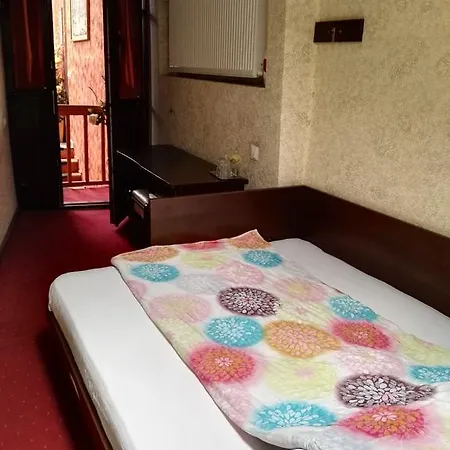 Pensiunea Italiana Guest house 3*
